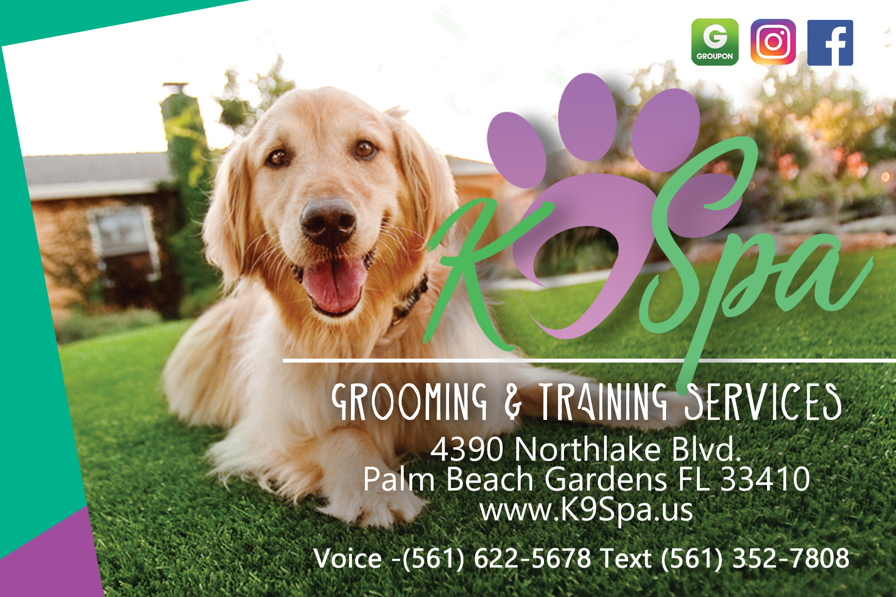 K9 Spa New Customer Promo Code CLEANUP